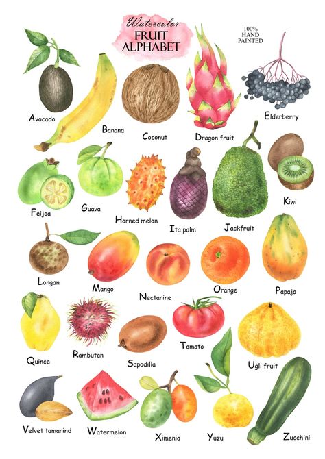 Watercolor Fruit Alphabet Clipart Fruits ABC Alphabet - Etsy Ukraine 50% OFF EVERYTHING! ✨  Limited-time SALE on all my Etsy art! Don't miss out, this steal won't last! . . . . . #exoticfruits #fruitposter #tropicalfruit #fruitart #kitchendecor #diningroomdecor #tropicaldecor #botanicalart #fruitlover #fruitprint  #fruitinspiration #fruitwallpaper Fruits Poster, Fruit Alphabet, Food Lettering, Fruit Poster, Fruit Clipart, Wild Animals Pictures, Watercolor Fruit, Types Of Vegetables, Alphabet Clipart