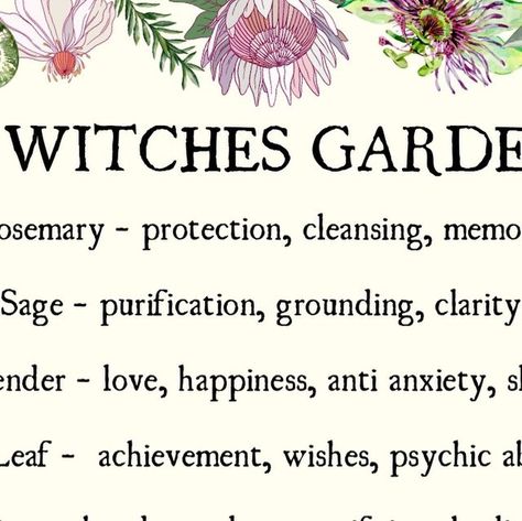 Alice Kendall on Instagram: "A WITCHES GARDEN 🌿  I have a big dream of having my own garden. I’m  in the process of manifesting it so I’m sure it will come to pass! The last time I had a garden years ago I planted a few herbs and lots of lavender. There were foxgloves, roses and honeysuckle. I’m excited to have a magical garden space like that again…  Which of these witchy plants are your favourites? And if you have a garden, what magical plants are you growing? 🌺 Creative content by me, Alice @starlightandsage_   #awitchesgarden #witchesgarden #witchesgardenherbs #magicalplants #herbsformagick #magicalherbs #magicalplantsandherbs #herbsformagickalintent" Witchy Plants, Witches Garden, Magical Plants, Witchy Garden, Magickal Herbs, Witch Quotes, Witch Garden, Magical Herbs, Witchy Things