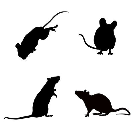 Mouse Vector, Mouse Silhouette, Deer Photos, Mouse Icon, Pipe Lamp, Animal Silhouette, Visual Inspiration, Black Silhouette, A Mouse