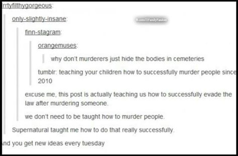 Supernatural teaches you how to murder ppl and Tumblr teaches you how to hide the boddies How To Hide A Body Tips, Wayward Son, Supernatural Funny, Funny Tumblr Posts, Destiel, Superwholock, Family Business, Text Posts, Tumblr Posts