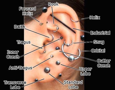 Piercing Types and 80 Ideas On How to Wear Ear Piercings #piercings #earpiercings #accessories Ear Piercing Diagram, Piercing No Lóbulo, Piercings Corps, Ušný Piercing, Orr Piercing, Piercings Bonitos, Ear Piercings Chart, Piercing Chart, Types Of Ear Piercings