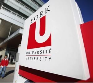 York University student's request not to work with women stirs controversy. Gpa Calculator, School Department, International Scholarships, Academic Calendar, Grad Student, York University, Open Letter, Group Work, Skills To Learn