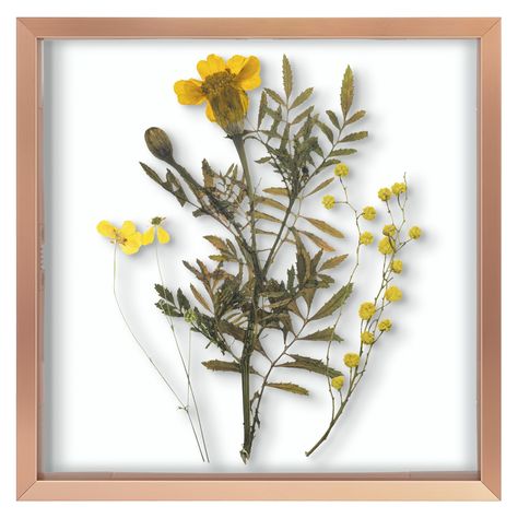 PRICES MAY VARY. High Quality: Durable, Gallery-Style Frame; The Frame Have The Clear Real Glass Front Cover and The Plexiglass Backing To Keep The Photo In Place; Load Your Photos and Flowers Easily, Quickly and Securely Use and Display: Perfect For Displaying Pressed Flowers or 8x8 Inch Pictures Without The Floating Effect; Glass Size is 7.7x7.7 Inches, Showcase a Smaller Photo Such As 4x6, 6x6 Inches For a Floating Frame Effect Classic Gallery Design: This 8x8'' Inch Rose Gold Floating Pictur Metal Photo Frame, Floating Picture Frames, Modern Picture Frames, Metal Photo Frames, Modern Pictures, Gallery Design, Table Top Display, Arte Animal, Small Photos