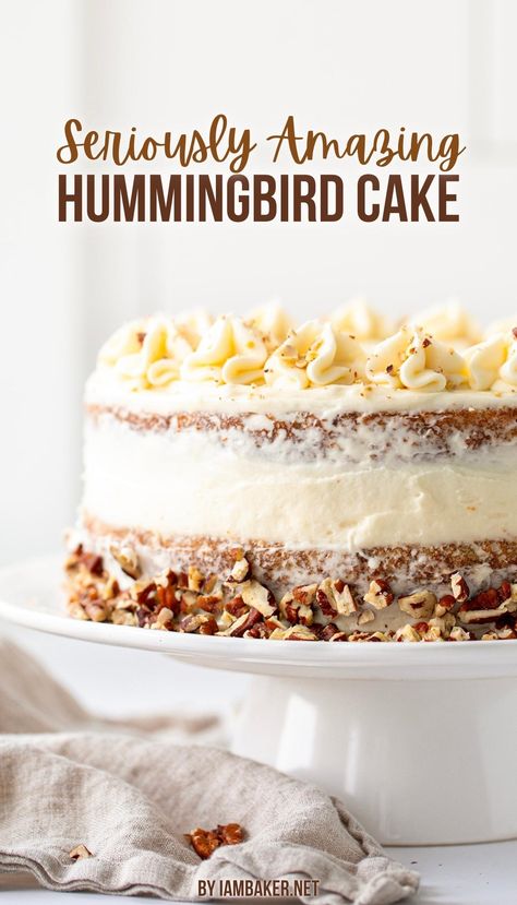 A Hummingbird cake rests on a white cake stand with a tan kitchen towel on the counter. Hummingbird Cake Recipes, Bird Cake, Hummingbird Cake, Bird Cakes, Food Nutrition, Humming Bird, Classic Southern, Cake Flavors, Cheese Frosting