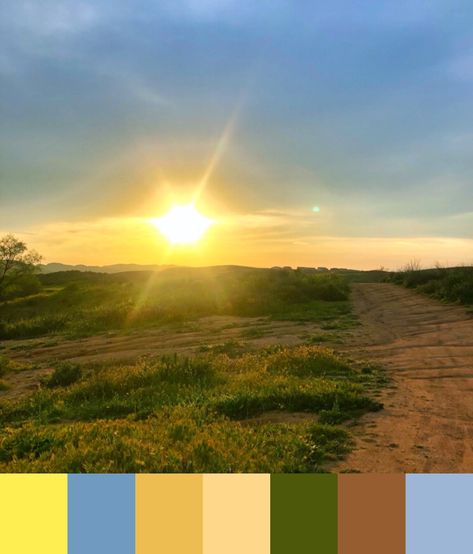 Sunny days ahead with this bright color scheme Sunny Day Color Palette, Sunny Color Palette, August Colors, Bright Color Schemes, Day And Time, Colorful Landscape, Morning Light, Wedding Board, 3d Rendering