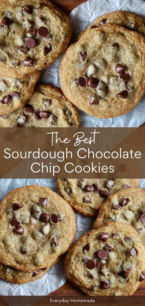 Bake up The Best Sourdough Chocolate Chip Cookies using sourdough starter discard. This easy homemade recipe gives you chewy goodness with crispy edges, thanks to brown butter. No fuss, just perfect bakery-style cookies that are soft and delicious. Dessert just got better! Sourdough Christmas, Sourdough Dessert, Using Sourdough Starter, Sourdough Chocolate Chip Cookies, Sourdough Cookies, Chocolate Chip Cookies Soft, Cookies Soft And Chewy, Sourdough Starter Discard, Recipe Using Sourdough Starter