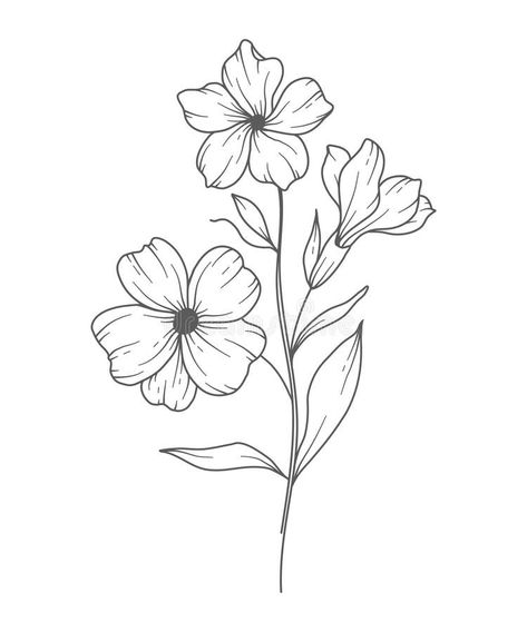 Primrose Flower Line Art. Primrose Outline Illustration. February Birth Month Flower. Primrose Outline Isolated on White Stock Vector - Illustration of branch, botanical: 292538397 February Birth Month Flower, Line Art Botanical, Primrose Flower, February Birth Flowers, Flower Line Art, Botanical Line Drawing, Hand Embroidery Patterns Free, Flower Line Drawings, Birth Flower Tattoos