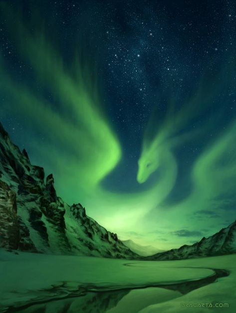 What if Northern lights looked like that. Dragon Pictures, Dragon Artwork, Mythical Creatures Art, Dragon Drawing, Fantasy Dragon, Fantasy Aesthetic, Mystical Creatures, The Night Sky, Fantasy Inspiration