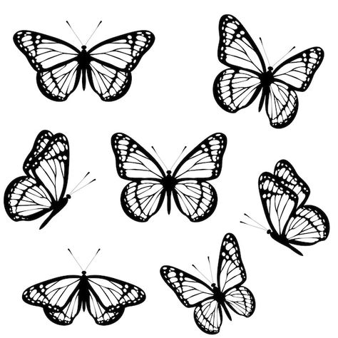 Vector set of black and white monarch bu... | Premium Vector #Freepik #vector #monarch-butterfly #moth #monarch #butterfly-illustration Simple Monarch Butterfly Drawing, Butterfly Clip Art Black And White, Butterfly Illustration Simple, Flying Monarch Butterfly, Butterfly Tattoo Black And White, Butterfly Tattoo Black, Monarch Tattoo, Easy Butterfly Drawing, Monarch Butterfly Tattoo