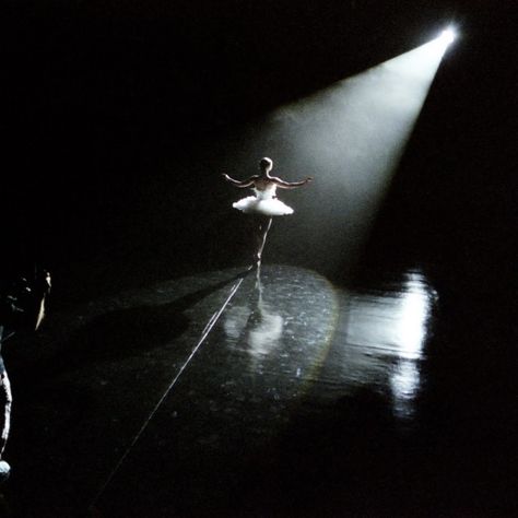 Dark Swan Aesthetic, Black Swan Ballet, Black Swan Aesthetic, Black Swan Movie, Swan Aesthetic, Black Swan 2010, Swan Lake Ballet, Dark Swan, The Black Swan