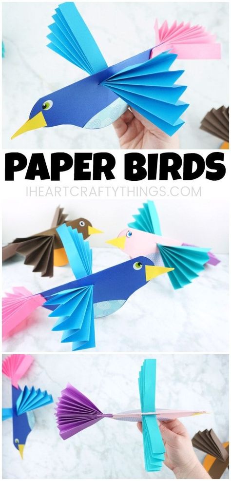 Birds For Kids, Bird Craft, Paper Craft For Kids, Paper Bird, Folding Origami, Accordion Fold, Craft Kids, Colorful Paper, Spring Crafts For Kids