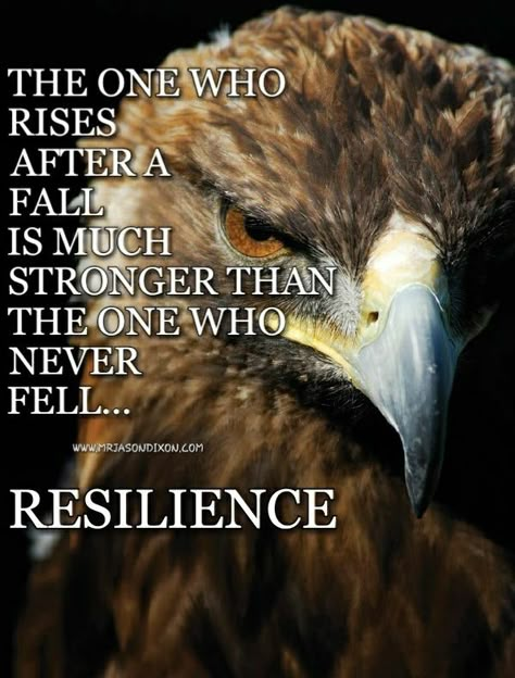 Keep moving forward. Never quit...👊🏾 Eagle Quotes Strength, Hawk Quotes, Eagle Quotes, Eagles Quotes, Believe In Yourself Quotes, Eagles Wings, Bird Quotes, Quotes Christian, Never Quit