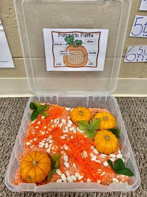 Fall Science Activities Preschool Sensory Play, Pumpkin Sensory Table Preschool, Fall Sensory Bin Ideas For Kindergarten, Preschool Fall Science Center, Fall Theme Science Preschool, Diy Fall Sensory Bin, October Sensory Table, Preschool Pumpkin Art Activities, Sensory Bags Fall