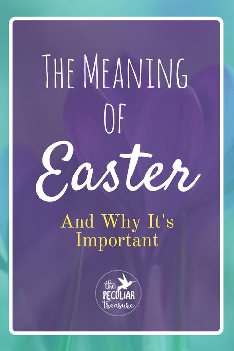 The real meaning of Easter is much more complex and important that marshmallow peeps and bunnies. Find out why at The Peculiar Treasure. Easter Meaning, The Meaning Of Easter, Short Devotions, Philippians 1 21, Easter Devotions, Marshmallow Peeps, Prayer Closet, Creator Of The Universe, Christian Traditions