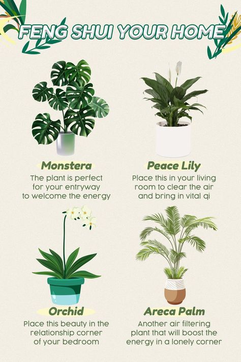 Plants For Good Energy Home, Positive Energy Plants For Home, Plant Placement In Home, House Plants For Beginners, Inside House Plants, Plants Living Room, Home With Plants, Feng Shui Plants, Corner Plant