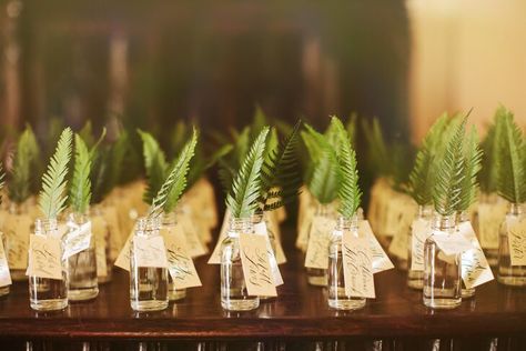 Fern Wedding Decor, Fern Centerpiece, Fern Wedding, Bottle Centerpieces, Eco Wedding, Botanical Wedding, Woodland Wedding, Forest Wedding, Wedding Planners