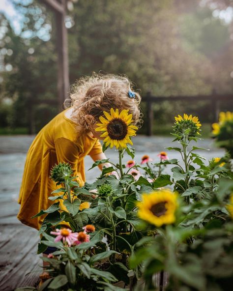 Among The Wildflowers, Sunflower Colors, Sunflower Garden, Sunflower Yellow, Sunflower Fields, Lifestyle Photographer, Storytelling, Wild Flowers, Sunflower