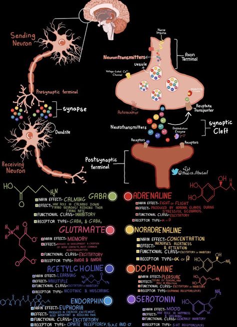 Med School Study, Learn Biology, Psychology Notes, Medical School Life, Psychology Studies, Study Biology, Basic Anatomy And Physiology, Nurse Study Notes, Biology Facts