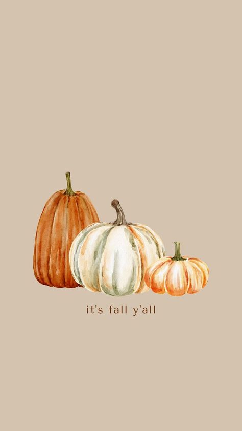 iphone wallpaper 1080x1920 Beige Iphone Wallpaper, September Wallpaper, Autumn Phone Wallpaper, Tapeta Harry Potter, Thanksgiving Wallpaper, Fall Images, Cute Fall Wallpaper, Iphone Wallpaper Fall, Cute Christmas Wallpaper