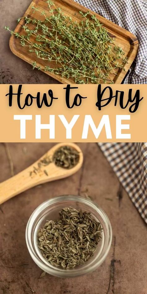 If you are wandering How to Dry Thyme these steps will take your fresh thyme to dry thyme easily. Dry thyme is easy to store in your pantry. Learn how to dry thyme in the oven. I love growing fresh herbs and drying thyme leaves is a great way to save and use fresh thyme. #eatingonadime #kitchentips #dryingherbs #thyme Drying Thyme, Thyme Seasoning, Store Fresh Herbs, Drying Fresh Herbs, Cooking With Fresh Herbs, Thyme Herb, Eating On A Dime, Easy Vegan Lunch, Preserving Herbs