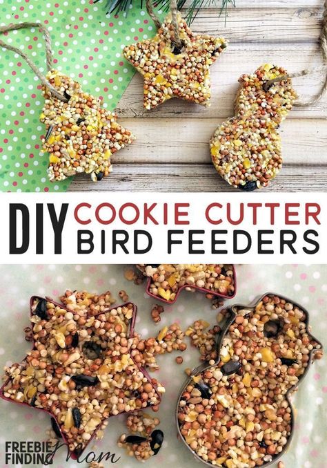 Want a fun, cheap, and easy Christmas craft for kids? These Homemade Cookie Cutter Bird Feeders are sure to do the trick! You likely already have most everything you need for this fun winter activity for kids plus these homemade bird feeders make great DI Juleverksted For Barn, Ranch Ideas, Homemade Cookie, Homemade Bird Feeders, Holiday Program, Winter Activities For Kids, Christmas Crafts For Adults, Diy Bird Feeder, Diy Cookie