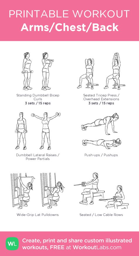 Arms/Chest/Back– my custom exercise plan created at WorkoutLabs.com • Click through to download as a printable workout PDF #customworkout Planet Fitness Workout Plan, Upper Body Workout Gym, Chest Workout Women, Gym Back, Workout Labs, Printable Workout, Gym Workout Plan For Women, Sixpack Workout, Arm Workout Women