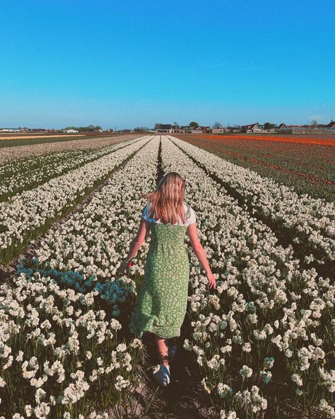 aesthetic flower field 😍 flowers, cottagecore, cottage core, aesthetic, summer, spring, aesthetic summer, aesthetic spring, sun, wallpaper, aesthetic wallpaper 🌸🌼🌷 Lilly Core Aesthetic, Lauren Core Aesthetic, Courtney Core Aesthetic, Hollie Core, Lindsey Aesthetic, Lillie Core, Lilly + Core + Aesthetic, Harmony Core, Lily Core Aesthetic