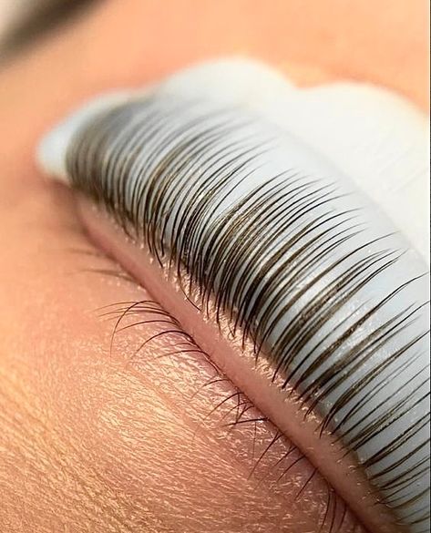 Lash Lift Content, Lashes Esthetics, Lash Lift Aesthetic, Eyelash Lift And Tint, Lash Lift And Tint, Blush Pink Nails, Lash And Brow Tint, Lash Lifts, Lash Tint