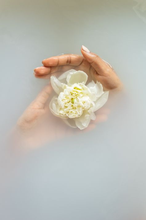 Blanco White, Spiritual Bath, White Bath, Flower Therapy, Hd Images, Facial Care, Beauty Cosmetics, Free Stock Photos, White Flowers