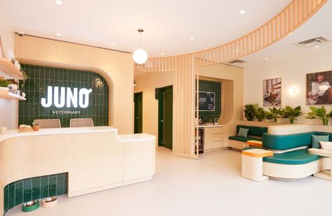 Inside Juno Veterinary: How Toronto’s newest vet clinic is reinventing pet care Pet Store Interior Design, Vet Waiting Room, Architecture For Animals, Veterinary Clinic Design Receptions, Pet Shop Interior, Veterinary Clinic Ideas, Pet Shop Aesthetic, Vet Clinic Ideas, Vet Clinic Design