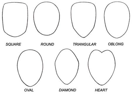 Face shape chart Face Shape Chart, Drawing Face Shapes, Anime Face Shapes, Eye Shape Chart, Face Shape Sunglasses, Glasses For Face Shape, Haircut For Face Shape, Shape Chart, Body References