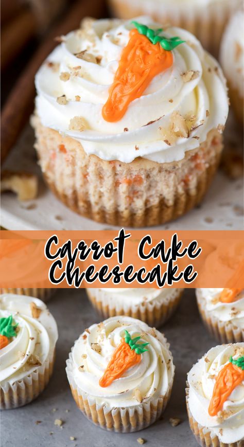 Mini Carrot Cake Cheesecakes made in a muffin pan are easy to make and are the perfect Easter cheesecake to serve for a crowd! These carrot cake cheesecake cupcakes have a graham cracker crust and a creamy carrot and spice cheesecake filling. 30 minutes total to prep and bake, then chill in the fridge until serving. #carrotcakecheesecake #minicheesecakes #eastercheesecake Birthday Cheesecake Cupcakes, Cheesecake Recipes For Easter, Cheesecake For Easter, 4 Way Cheesecake Pan, Mini Cannoli Cheesecake Bites, Mini Easter Cheesecake Recipes, Easter Cheesecake Mini, Easy Carrot Cheesecake Recipe, Mini Cheesecakes For Thanksgiving