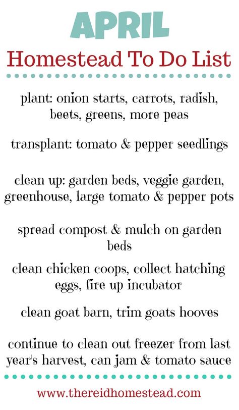 What is on your April Homestead To Do List? This time of year is crazy and our to do list grows longer every day! But here is what we will be tackling this month on The Reid Homestead Planting Strawberries In Pallets, Homesteading In Hawaii, Diy Homestead Ideas, Half Acre Homestead, Homesteading Binder, Homestead To Do List, Homestead Schedule, Homestead Essentials, 1 Acre Homestead Layout