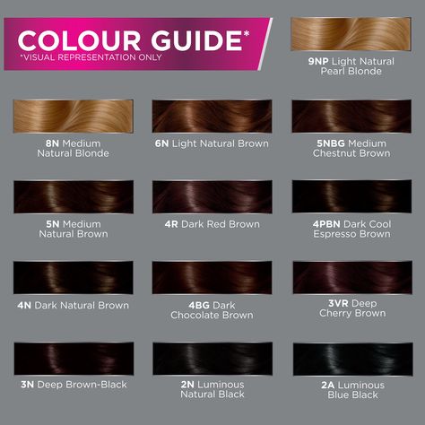 Dark Red Brown Hair Color, Dark Red Brown Hair, Dark Chocolate Brown Hair Color, Dark Red Hair With Brown, Red Brown Hair Color, Dark Chocolate Brown Hair, Hair Color Images, Dark Red Brown, Chocolate Brown Hair Color