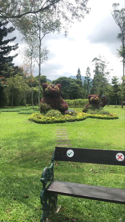 taman bunga ,park ,aesthetic ,wallpaper ,green ,background , ,indonesia , bear flower ,bunga beruang ,taman bunga bogor 📸by :me Taman Aesthetic, Aesthetic Wallpaper Green, Park Aesthetic, Garden Idea, Wallpaper Green, Bogor, Green Background, Aesthetic Wallpaper, Flower Garden