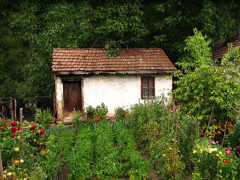 Murmuring Cottage, Woodland Cottage, Earthly Delights, Amazing Homes, Herb Garden Design, Ivy House, Backyard Retreat, Cottage Farmhouse, Farms Living