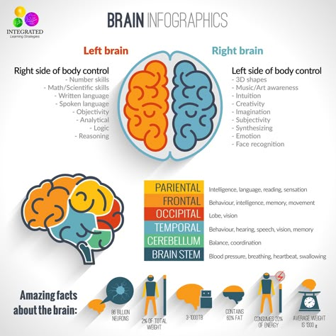 Why Crossing the Midline Activities Helped this Child Listen to his Teacher | ilslearningcorner.com Left Brain Right Brain, Nervus Vagus, Brain Based Learning, Emotion Faces, Integrated Learning, Brain Facts, The Human Brain, Brain Gym, Learning Tips