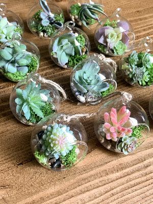 DIY: Faux Succulent Mini Hanging Terrariums — Blog — Design Confetti Indoor Terrarium Ideas, Succulent Terrarium Ideas, Terrarium Ideas Unique, Faux Terrarium, Succulent Plants Indoor, Indoor Terrarium, Plastic Terrarium, Terrarium Centerpiece, Diy Succulent Terrarium