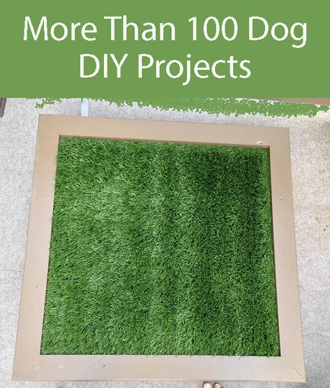 An Easy to Make Porch Potty. Ideal for that last thing at night potty for your dog. #DIYPorchPotty #DogHygeine Porch Potty, Puppy Training Schedule, Dogs Diy Projects, House Training Puppies, Dog Diy, Puppy House, Dog Training Classes, Potty Training Puppy, Diy Porch