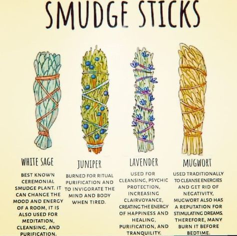 Types of Smudge Sticks Let’s Raise the Vibe, Tribe! @raise.the.vibe.tribe for more inspiring posts.⠀⠀⠀⠀… Smudge Sticks Diy, Artemisia Vulgaris, Magia Das Ervas, Sage Smudging, Magic Herbs, Lavender Sage, Herbal Magic, Spiritual Tools, Smudge Sticks