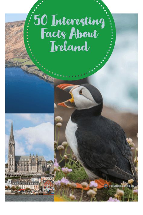 Just how much do you actually know about Ireland? Add to your knowledge with these 50 fun Ireland facts that you probably didn't know! Fun Ireland Facts: 20 things you probably didn't know about Ireland. #Ireland #Irish You will find facts about Ireland for kids, facts about Ireland's history and much more. #Cork #facts Fun Facts About Ireland, British History Facts, Irish History Facts, Facts About Ireland, Ireland Facts, Kids Facts, World History Facts, Ireland History, Scotland History