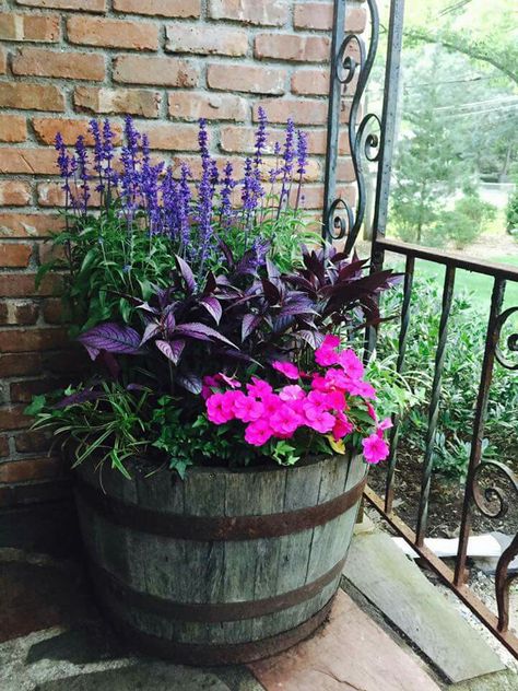 Colors Flowers In Barrels, Colorful Planters Pots Front Porches, Flowers In Galvanized Tub, Barrel Planter Ideas Front Yards, Flowers In Barrels Planters, Half Whiskey Barrel Ideas Planters, Wheelbarrel Ideas, Flower Barrel Ideas, Wooden Barrel Planter Ideas