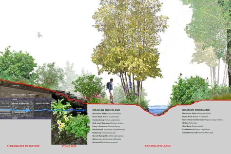 Basalt River Restoration Ecological Preservation Planning River Restoration Projects, Water Architecture Concept, River Restoration, Ecological Restoration, Masterplan Architecture, Landscape Diagram, Playgrounds Architecture, Landscape Architecture Diagram, Water Architecture