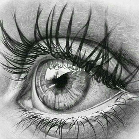 A Pencil, A Drawing, An Eye, Pencil Drawing, Eyelashes, Lashes, Pencil, Art