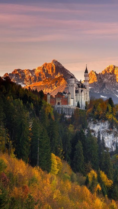 Guardian of Schwangau, Neuschwanstein Castle in southern Bavaria, Germany | Windows Spotlight Images China City, Winter Window, Ancient Animals, Neuschwanstein Castle, Valley View, Bavaria Germany, Bavaria, Aerial View, Windows 10