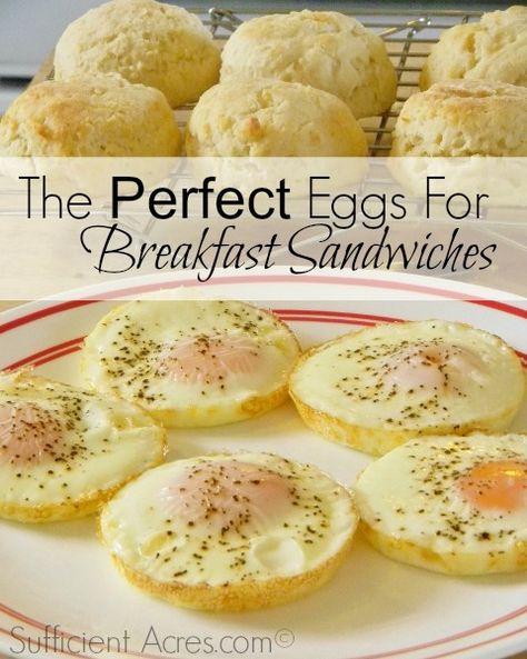 The Perfect Eggs For Breakfast Sandwiches Eggs For Breakfast Sandwiches, Egg Sandwich Breakfast, Eggs For Breakfast, Breakfast Recipies, Perfect Eggs, Breakfast Bites, Egg Recipes For Breakfast, Breakfast Sandwiches, Brunch Dishes