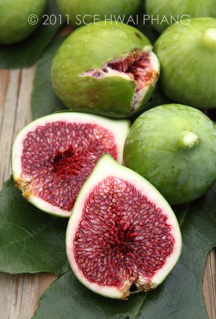 Figs, never seen this fruit, u can`t find it in a tropical country Buah Tin, Juice Menu, Green Fig, Healthy And Fit, Fruit Photography, Beautiful Fruits, Citrus Fruits, Exotic Fruit, Tropical Fruits