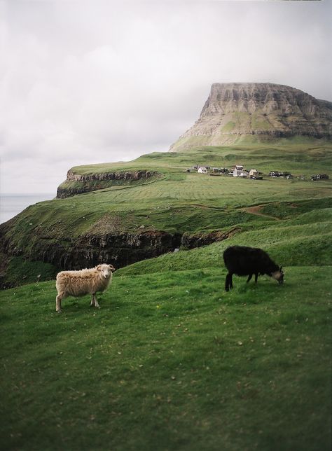 Moody Cottage, Olafur Eliasson, Visual Culture, Voyage Europe, Pretty Places, Faroe Islands, Landscape Photographers, Travel Dreams, Wonders Of The World