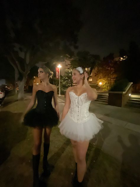 Black And White Swan Costume Aesthetic, Barbie Swan Lake Halloween Costume, Swan Princess Halloween Costume, Swan Lake Halloween Costume Duo, The Black Swan Halloween Costume, Dark And Light Swan Costume, Black And White Swam Halloween, Swan Queen Costume, White Swan Black Swan Halloween Costume