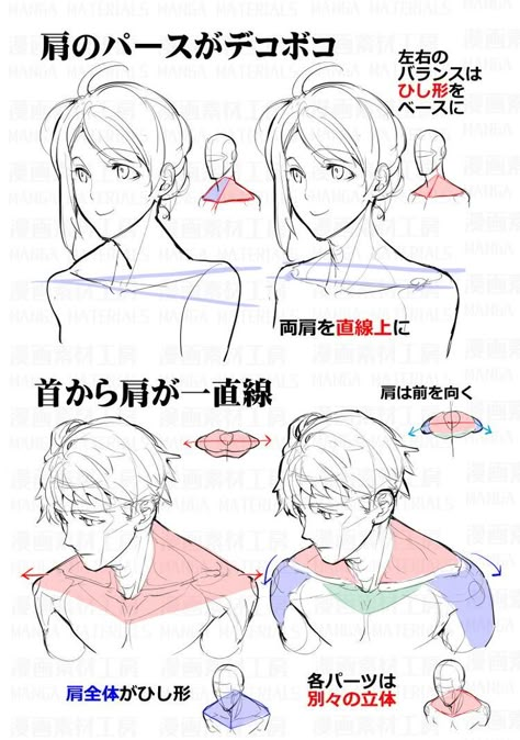 الفن الرقمي, Anatomy Tutorial, Anime Tutorial, Human Anatomy Drawing, Body Drawing Tutorial, Manga Drawing Tutorials, Human Anatomy Art, Body Reference Drawing, Body Anatomy